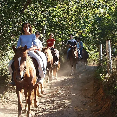 Ferienhaus El Busgosu Vv58as